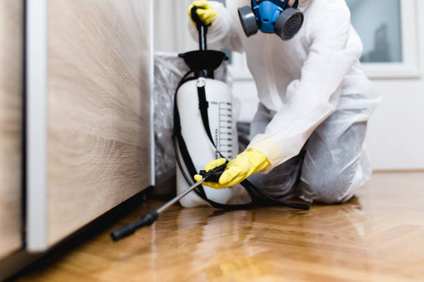 Best Affordable Pest Control Services  in Venetian Vlage, IL