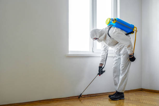 Best Pest Prevention Services  in Venetian Vlage, IL