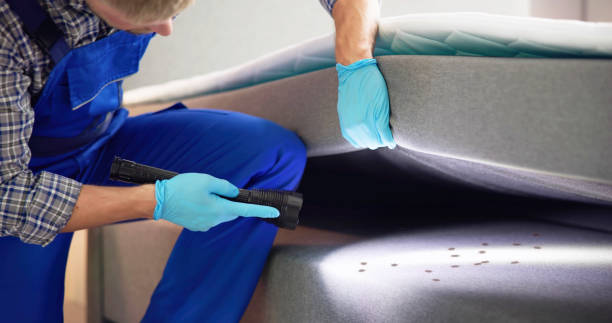 Best Residential Pest Control  in Venetian Vlage, IL