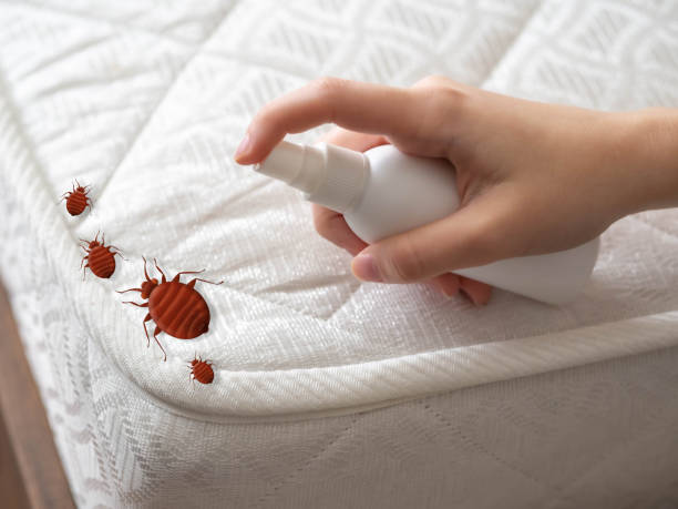 Best Cockroach Control Services  in Venetian Vlage, IL