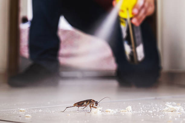 Best Best Pest Control Companies  in Venetian Vlage, IL