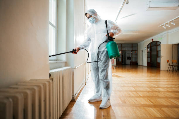 Best Termite Control Services  in Venetian Vlage, IL