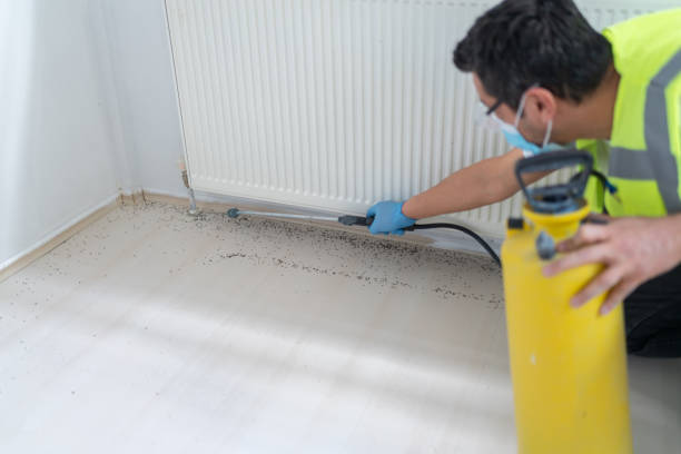 Best Ant Control Services  in Venetian Vlage, IL
