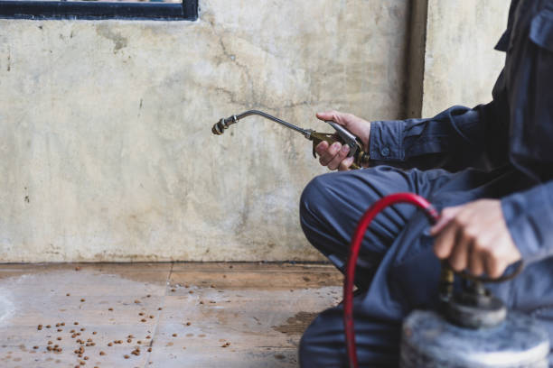 Best Affordable Pest Control Services  in Venetian Vlage, IL
