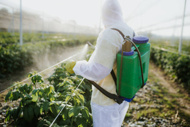 Best Flea Control Services  in Venetian Vlage, IL